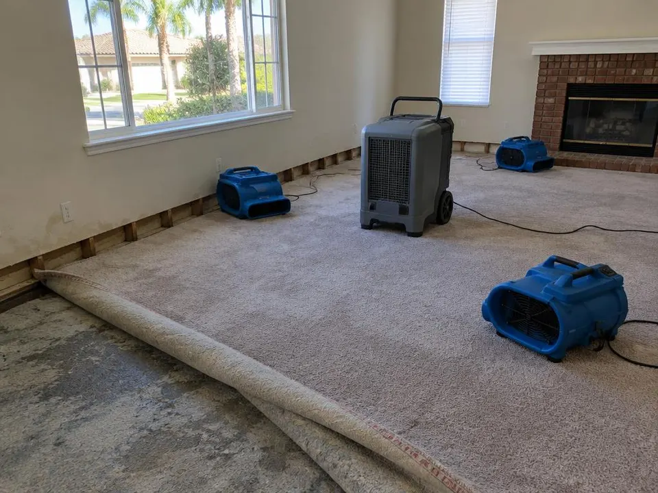 Generated illustration of carpet pulled back from a wet pad with air movers and a dehumidifier in a living room